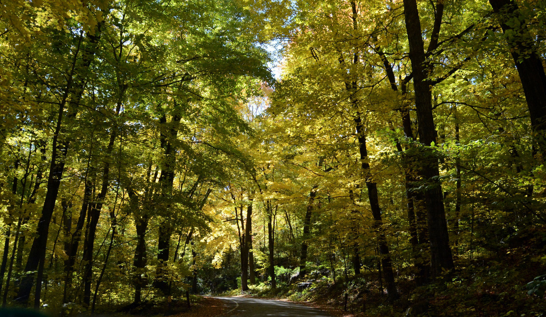 Baraboo area fall color, Oct. 8, 2020